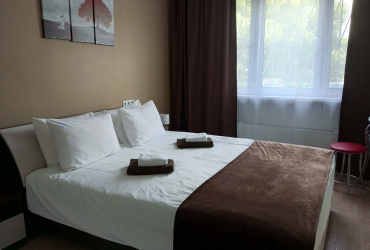 Студия с кухней